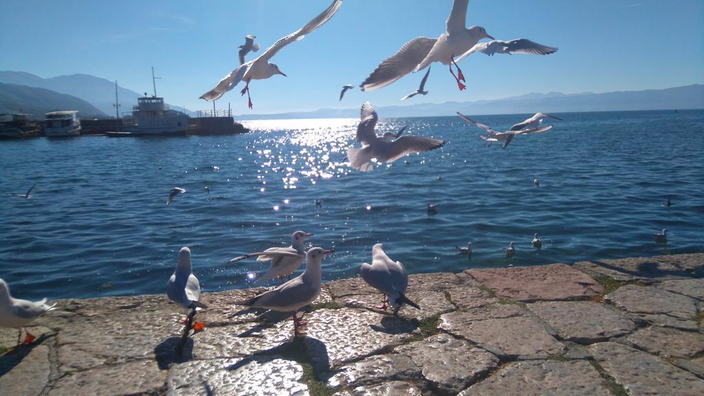 'By The Lake' Apartments Ohrid Esterno foto